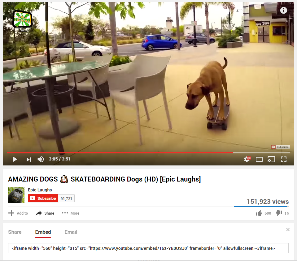 skateboarding dog youtube video screenshot