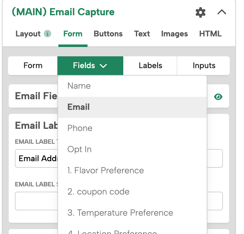 Screenshot of the Form tab showing the Fields dropdown with Email selected.