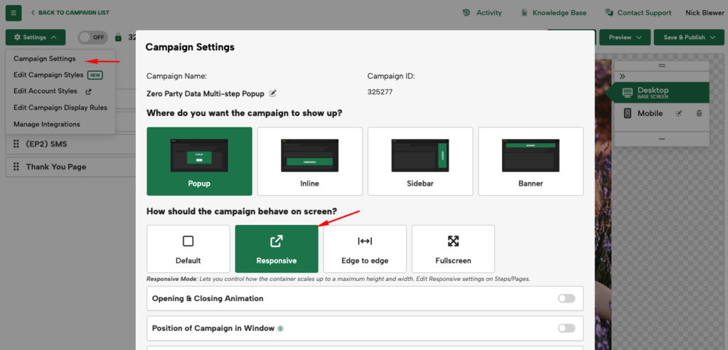 Responsive Campaign Setting