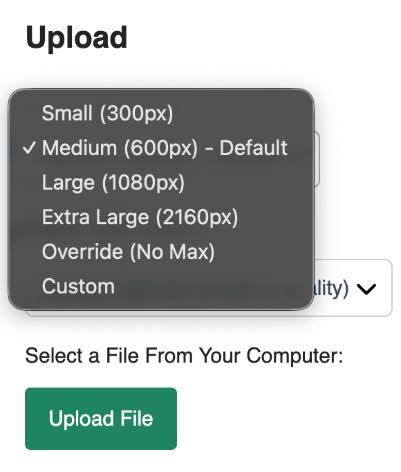 Image Sizing