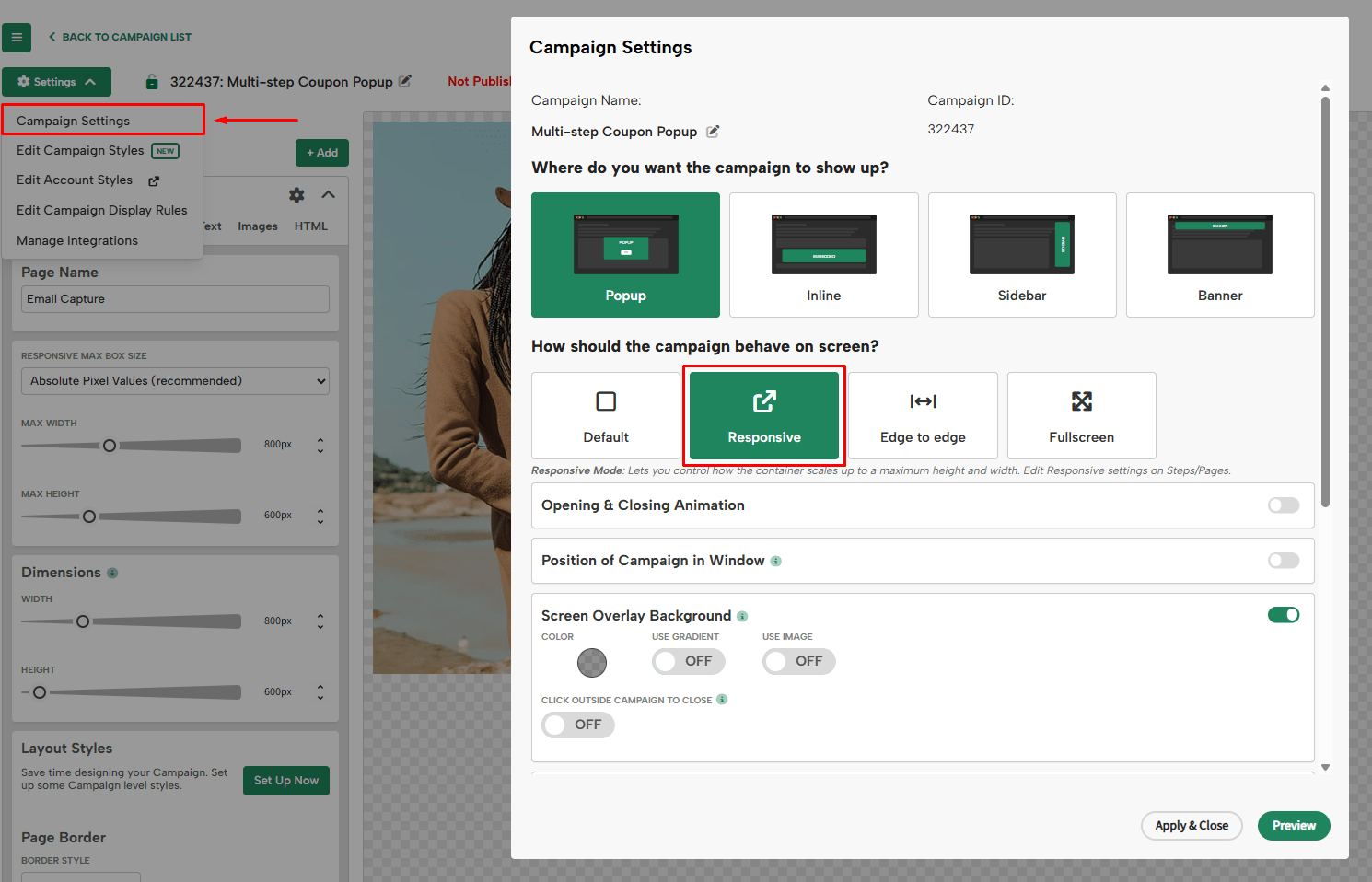 Campaign Settings Responsive Option